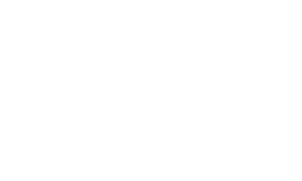 Stake